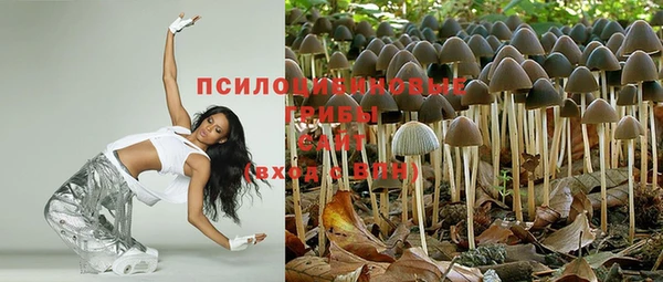 2c-b Богородицк