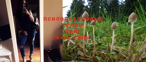 СК Надым