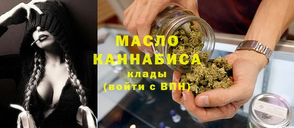 хмурый Пересвет